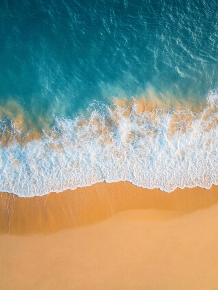 Aerial View Of A Beach 169