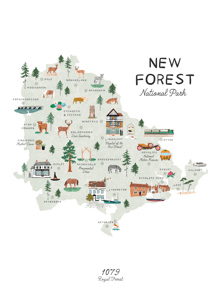 New Forest National Park Map