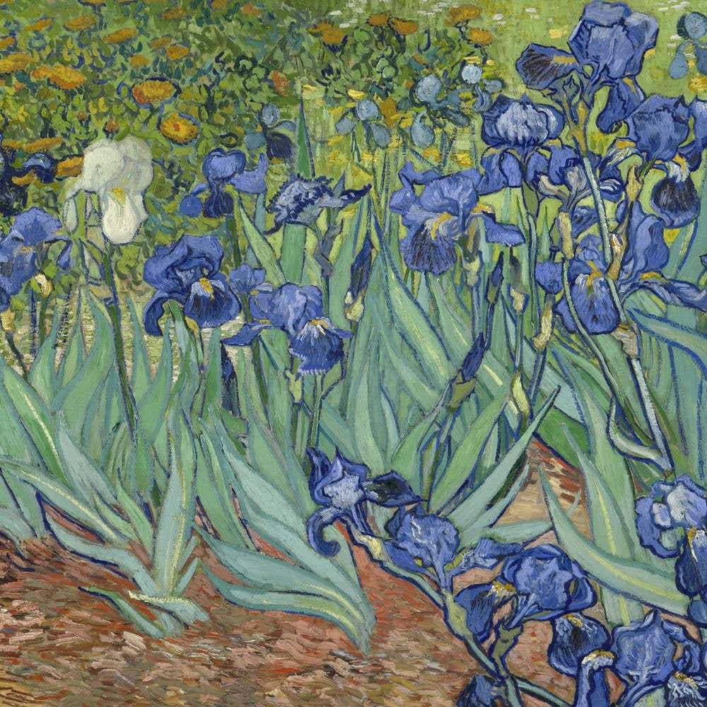 Van Gogh ,Irises