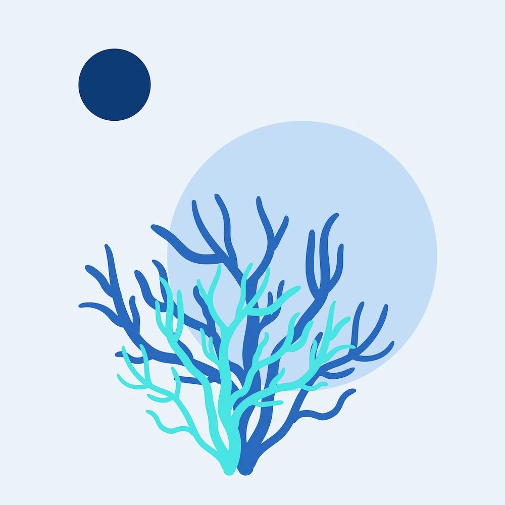Coral Reef - Light Blue