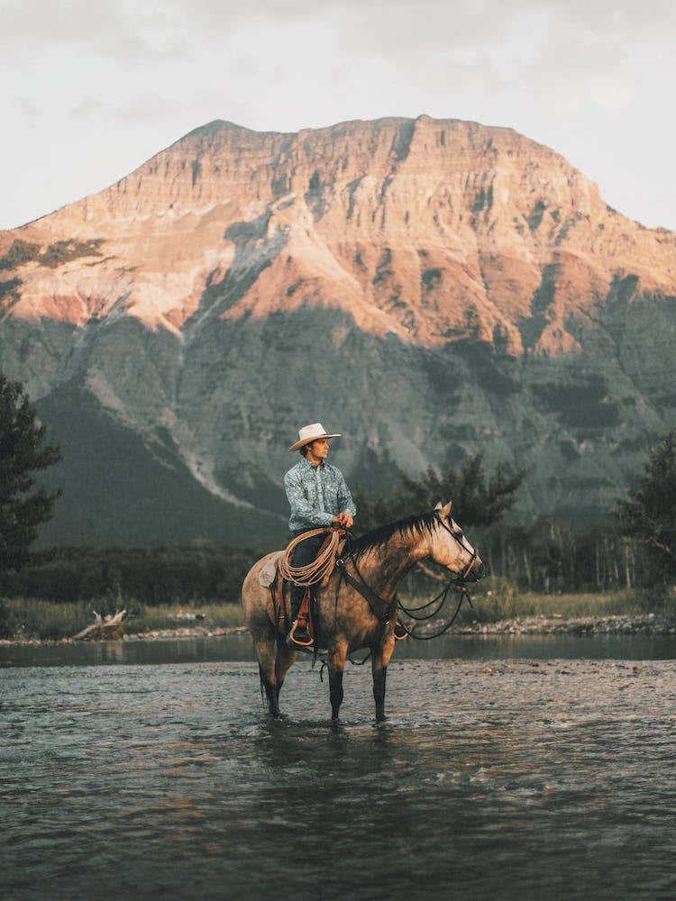Cowboy In Western Mountains