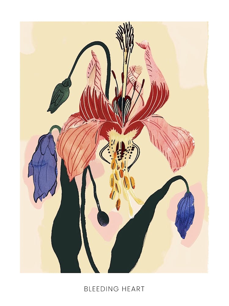 Colourful Flower Illustration Poster Bleeding Heart 5