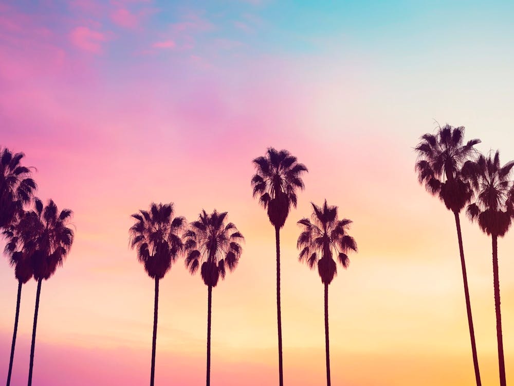 California Dreaming - Rodeo Drive Palm Trees