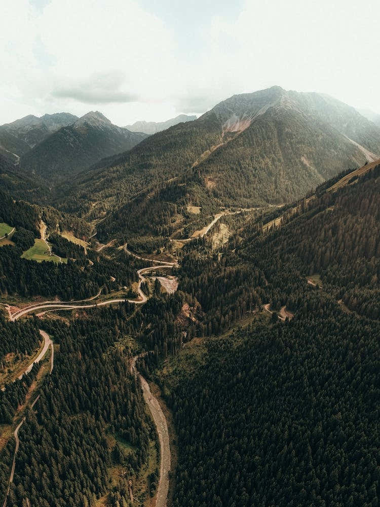 Roadtrip Through The Woods