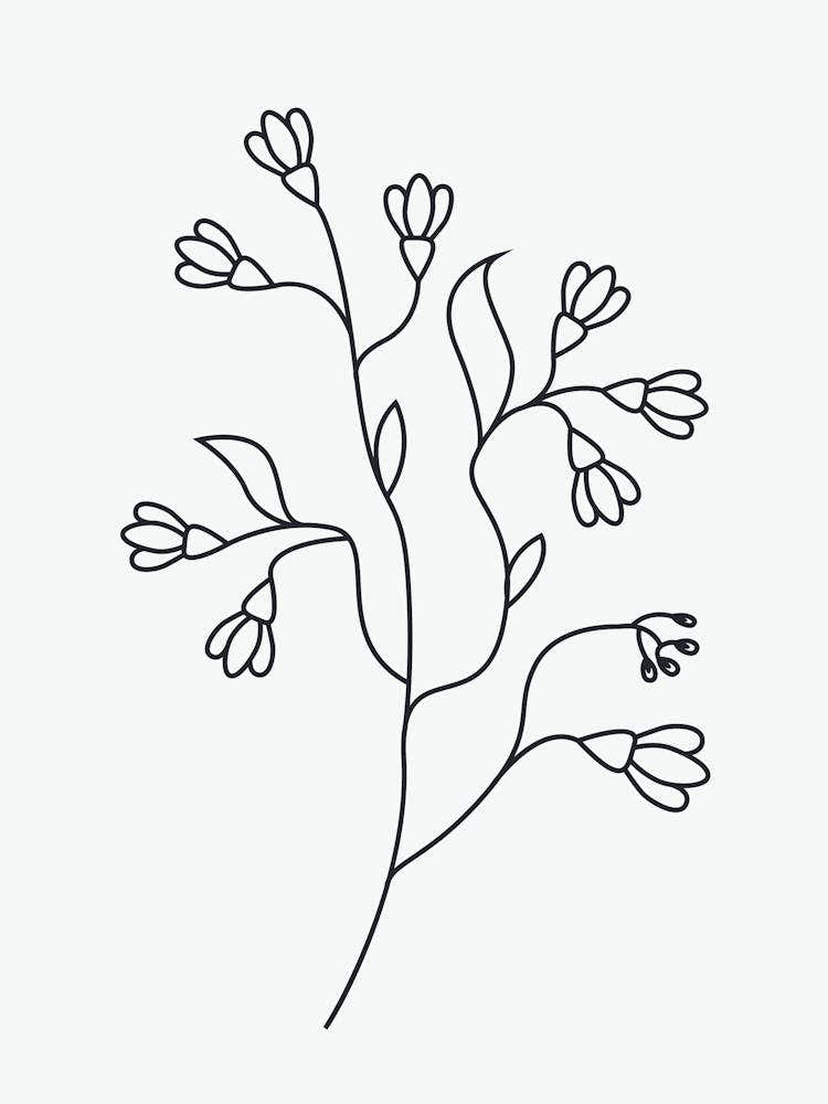 Line Drawing Of A Flower 1