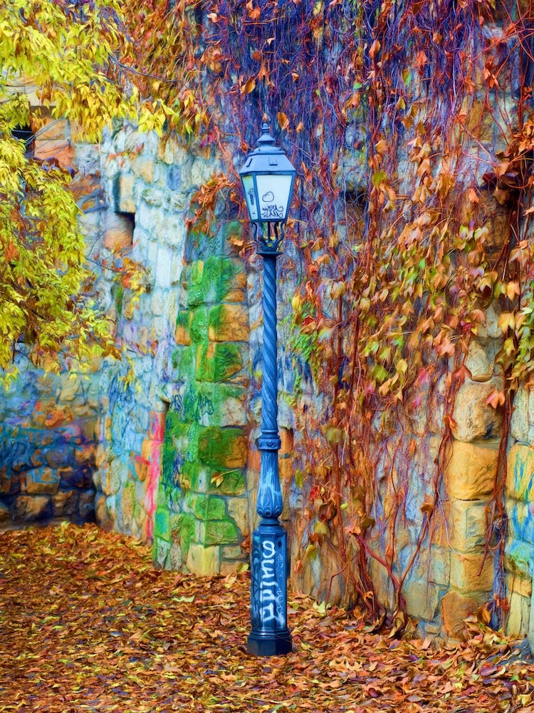 Autumnal Lamp
