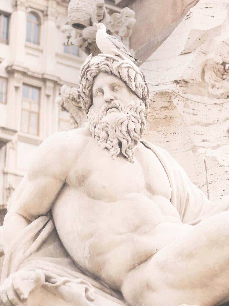 Rome, Italy I Seagull perched on antique head statue in Piazza Navona with beige monochrome pastel aesthetic tones of authentic stone architecture photography capturing the quiet elegance of the city