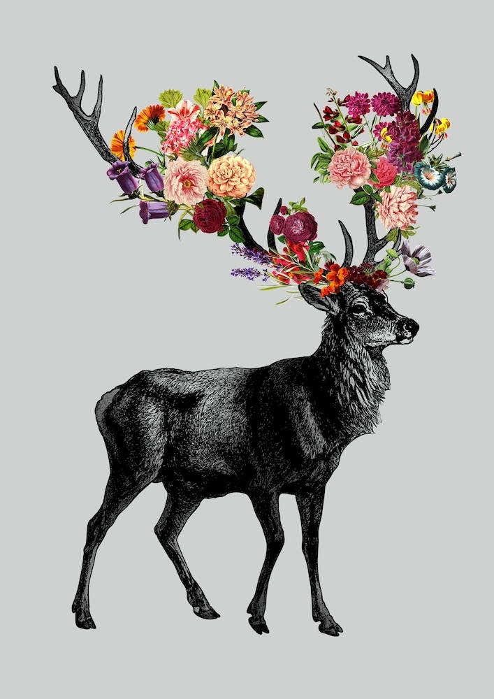 Spring Itself Deer Floral