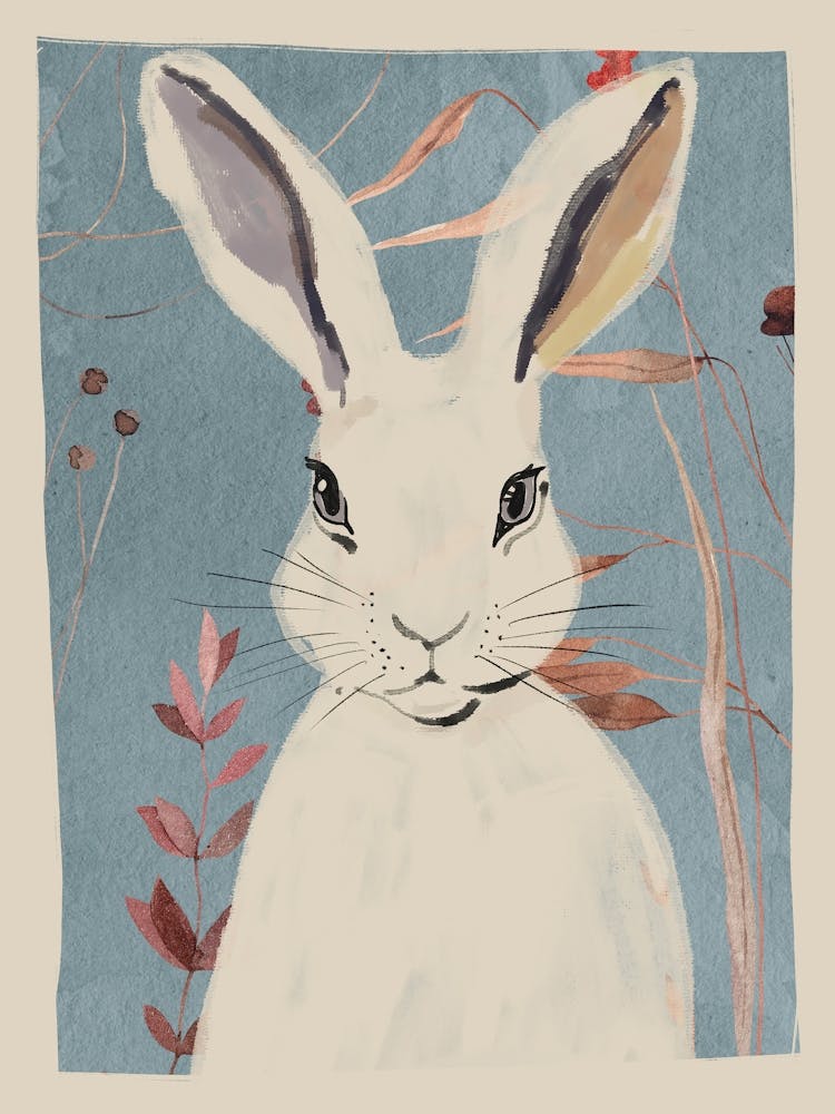 Rabbit