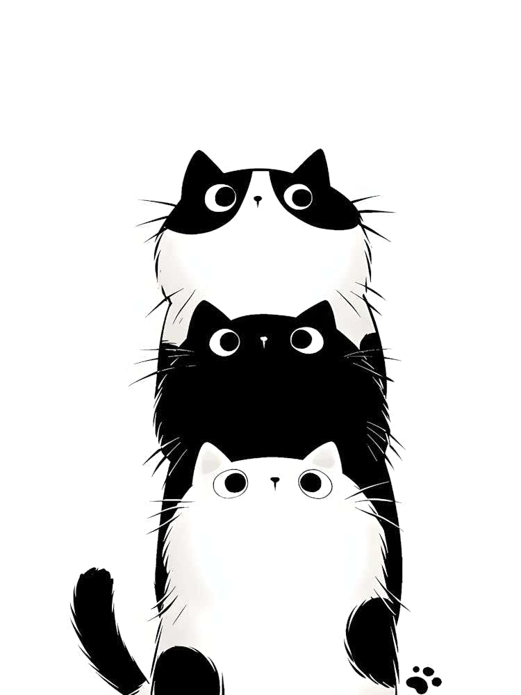 Black And White Cats