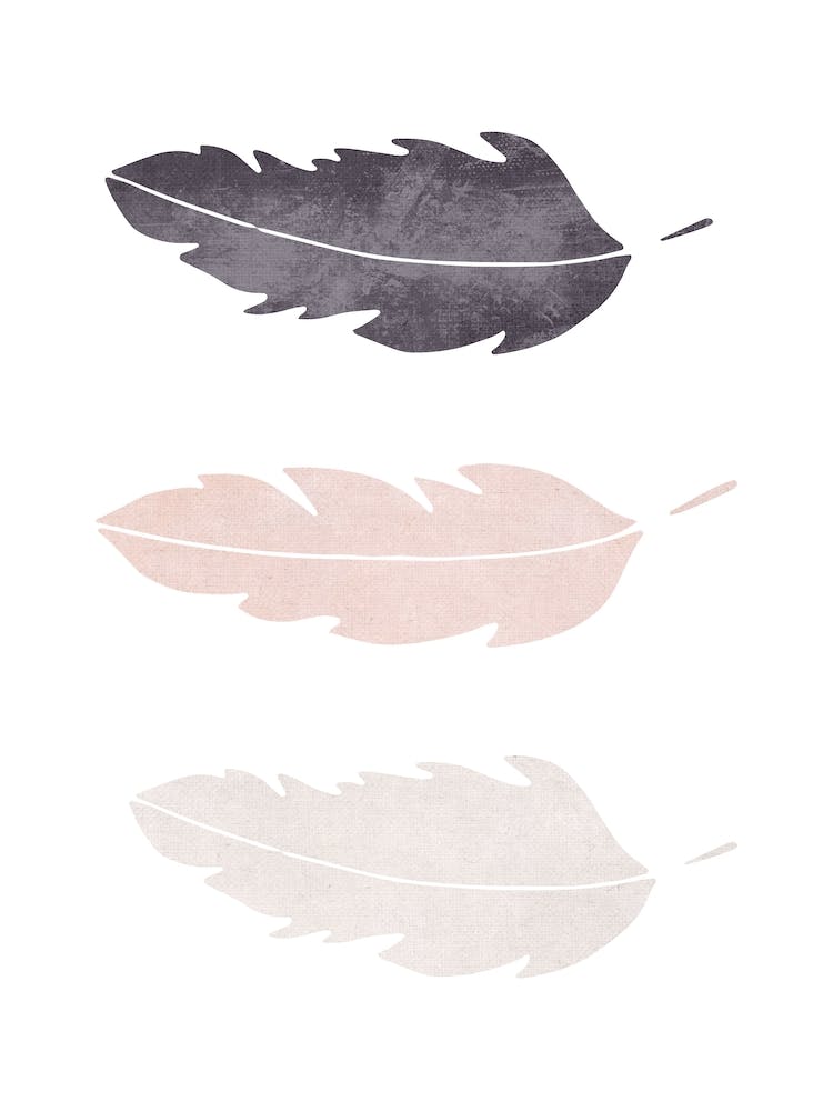 Feathers Pink Cotton Abstract