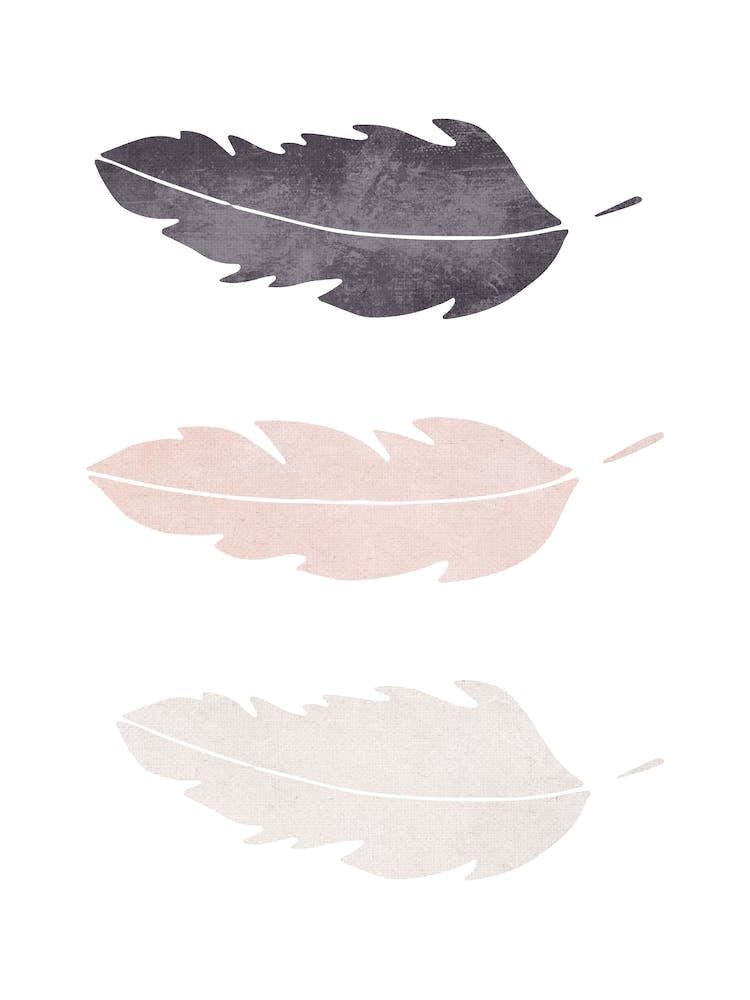 Feathers Pink Cotton Abstract