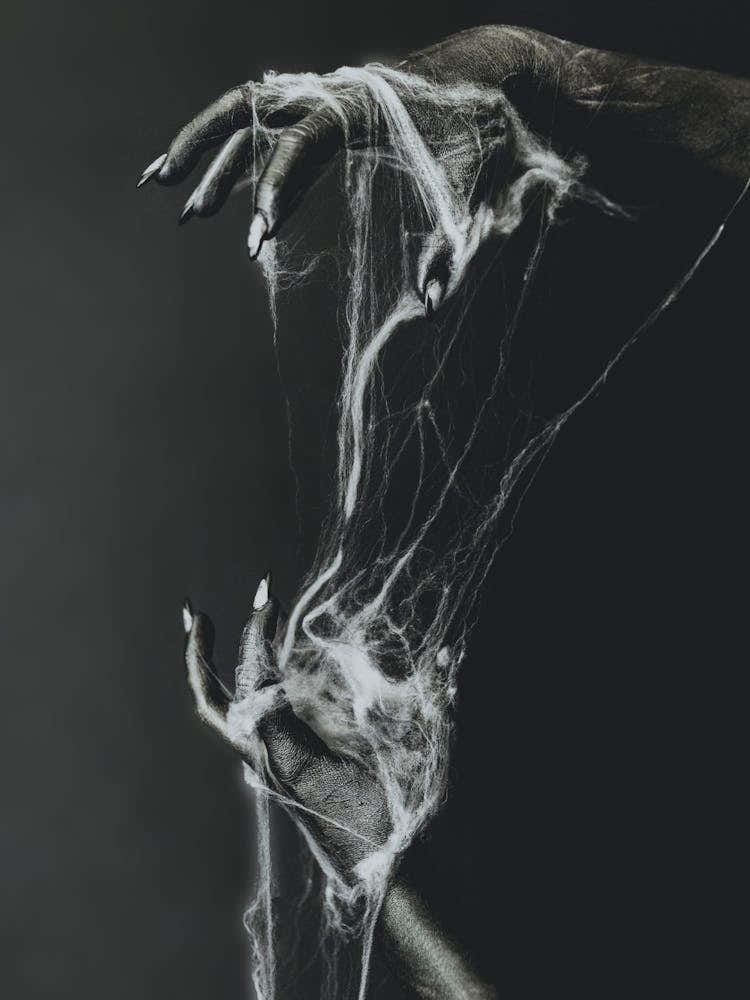 Spider web