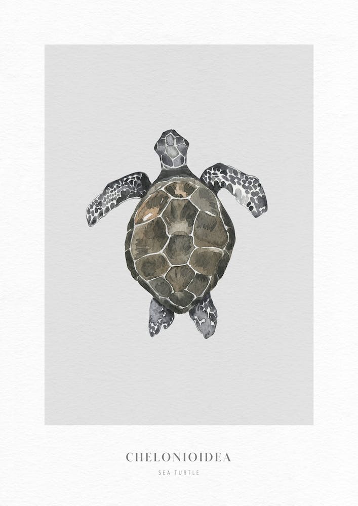 Boho Ocean 2 Sea Turtle