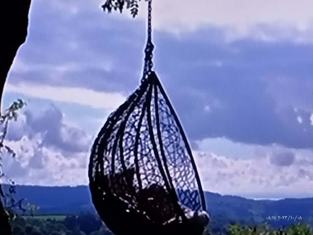 Hanging Chair