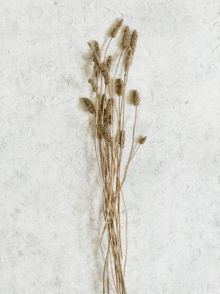 Wild Botanicals Bouquet