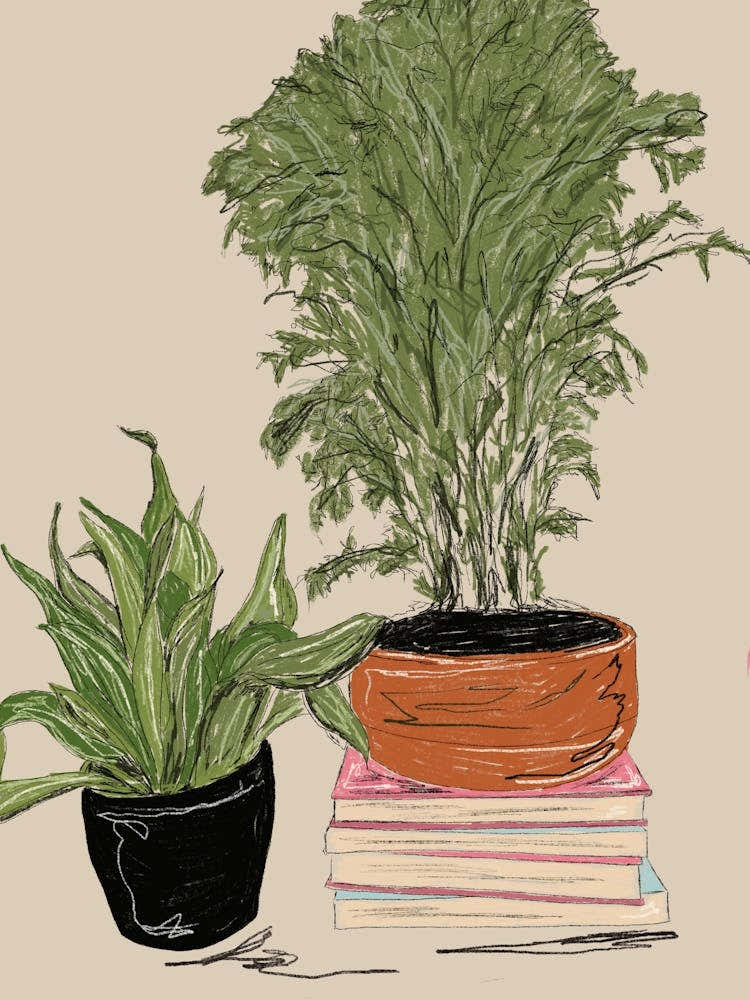 Books and plants
