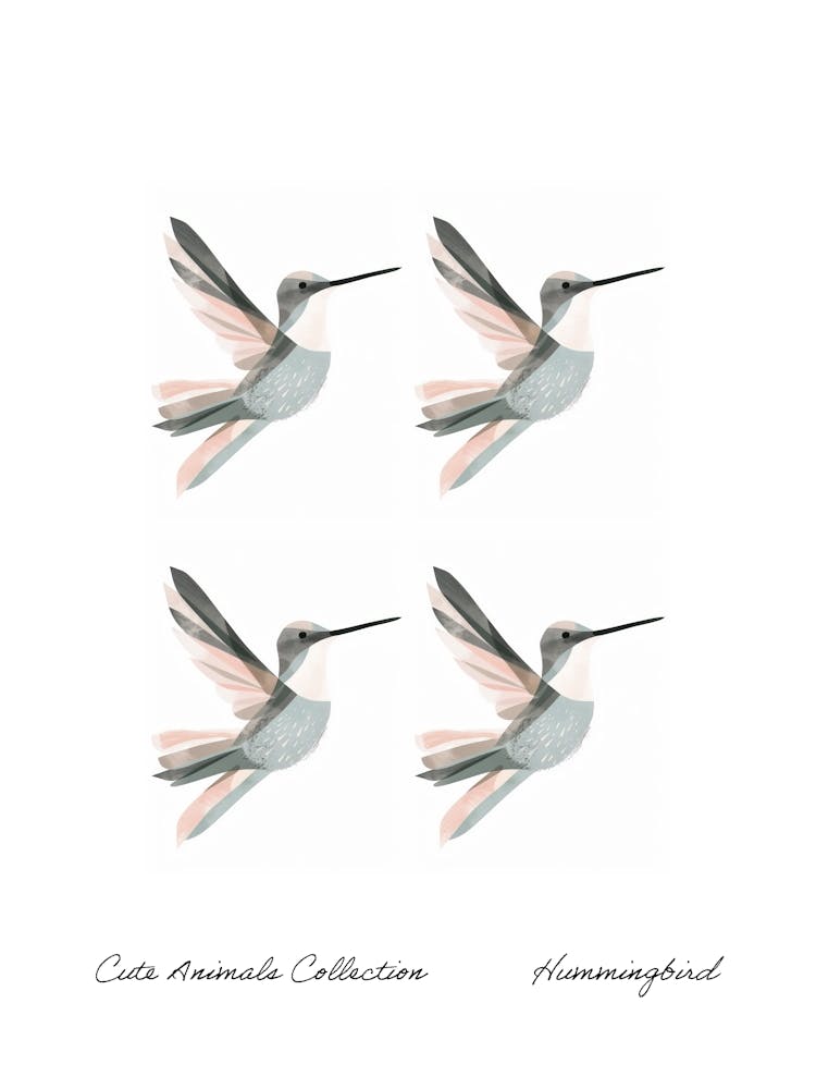 Cute Animals Collection Hummingbird 4