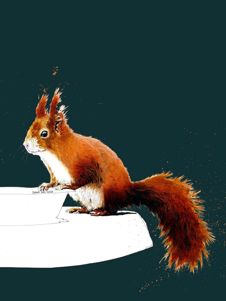 The Red Squirrel On Deep Cyan