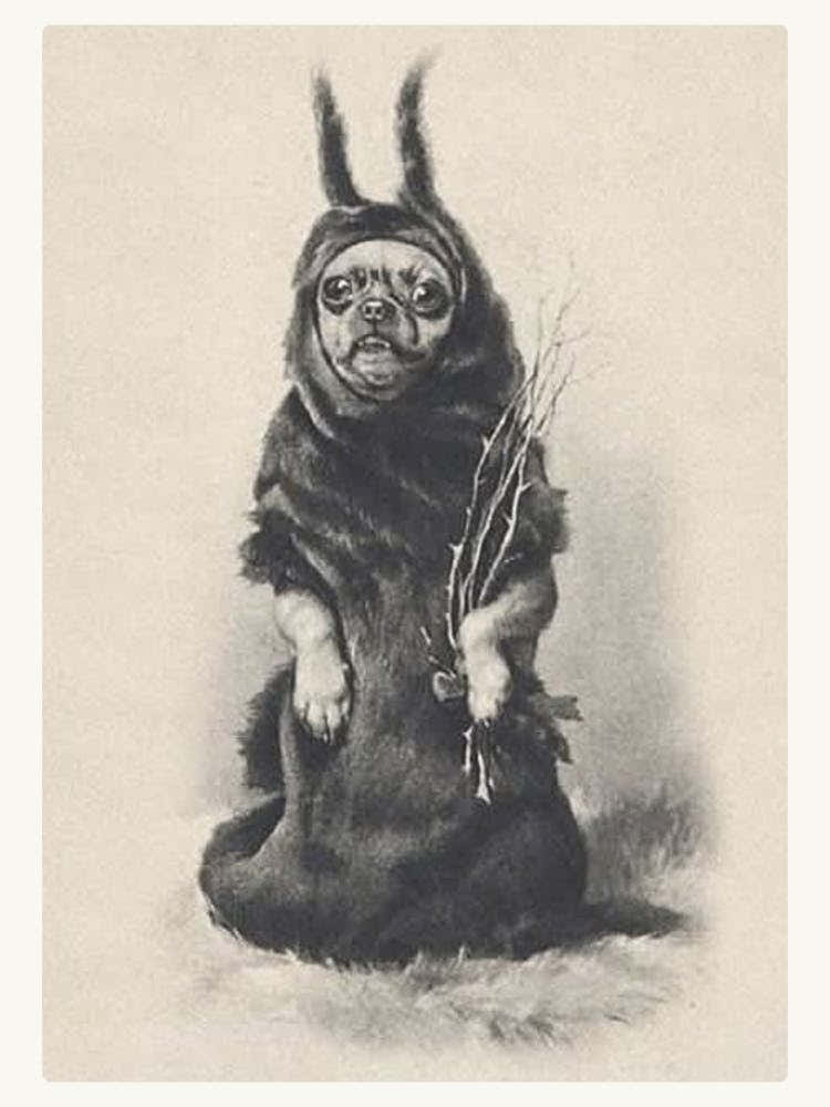 Victorian Christmas Krampus Chihuahua ~ 1900s Sketch for Greeting Cards Adorable Gothic Dog