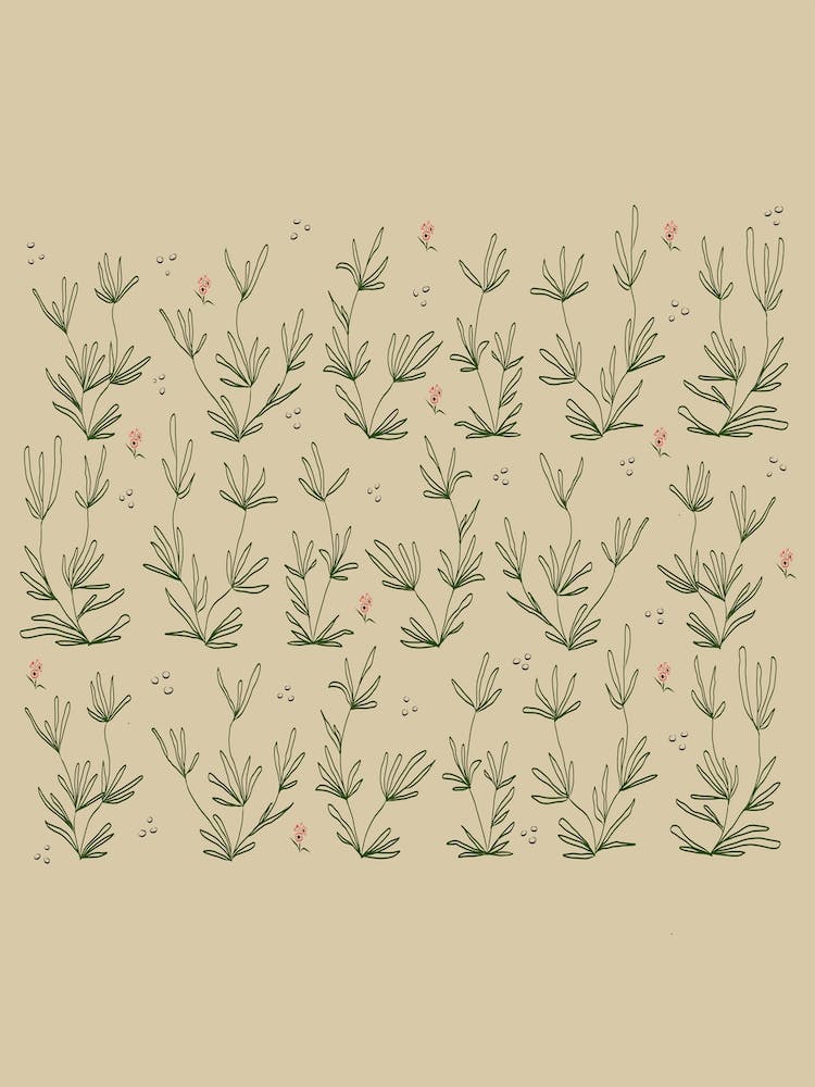 Desert Sand With Coral Blooms