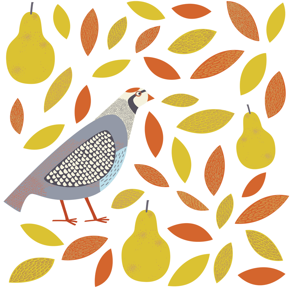 Partridge Game Bird with Pears