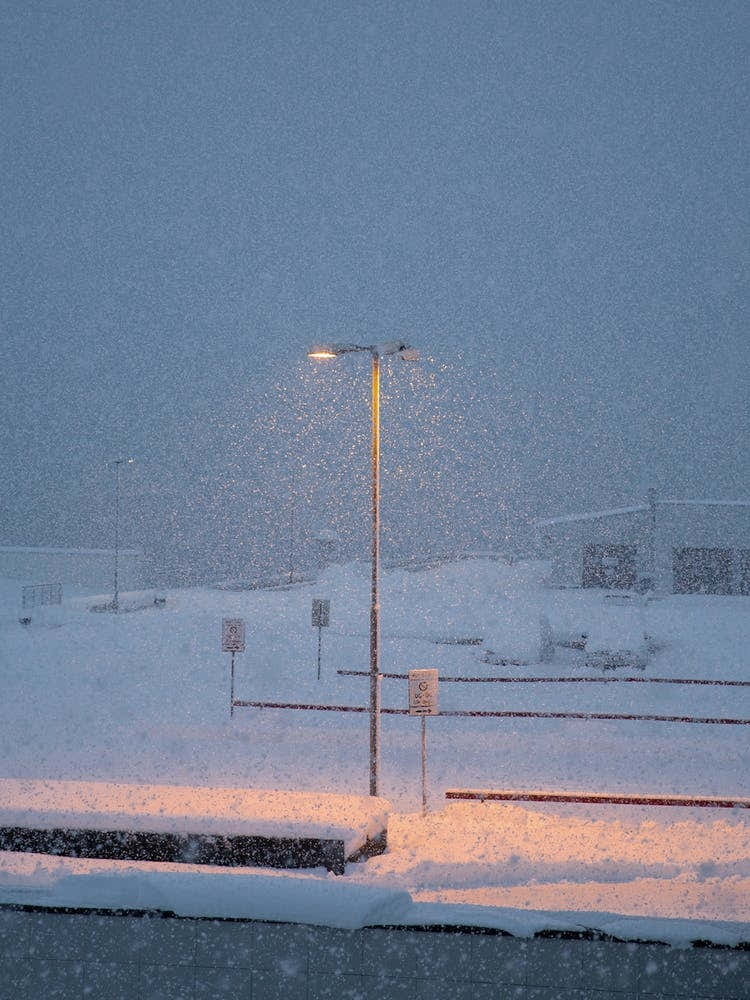 Snowy Lamppost