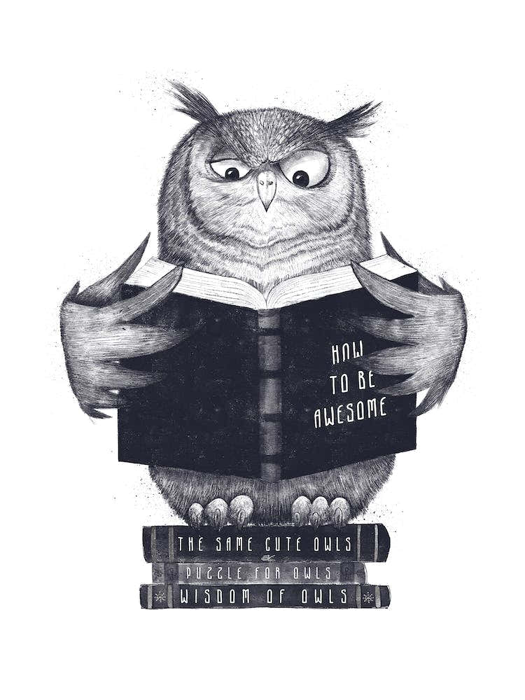 Wisdom Owl