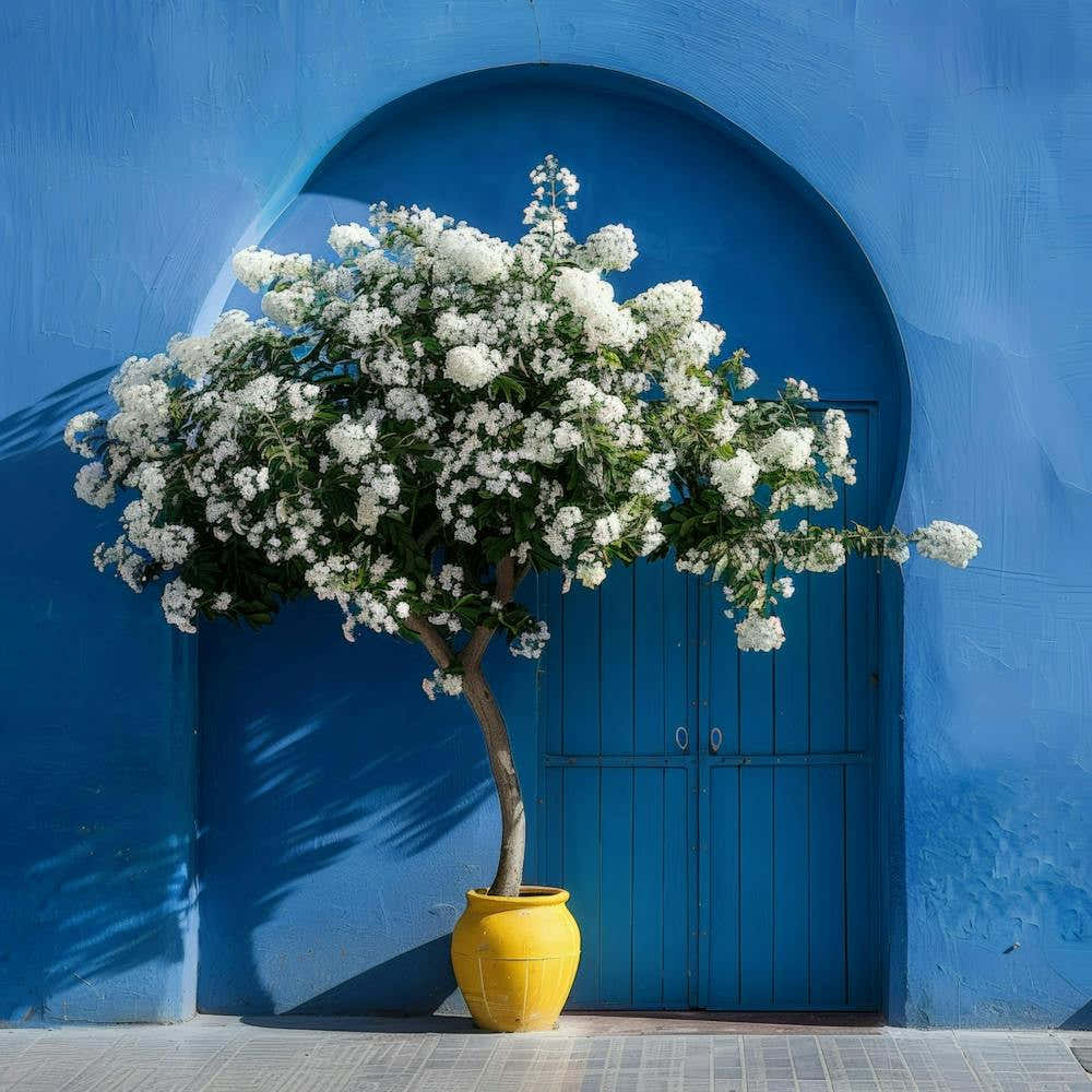 Blue Door 70