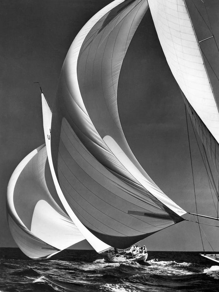Spinakers On Racing Sailboats