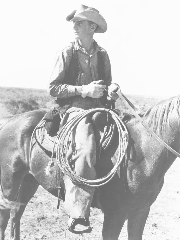 Western Cowboy