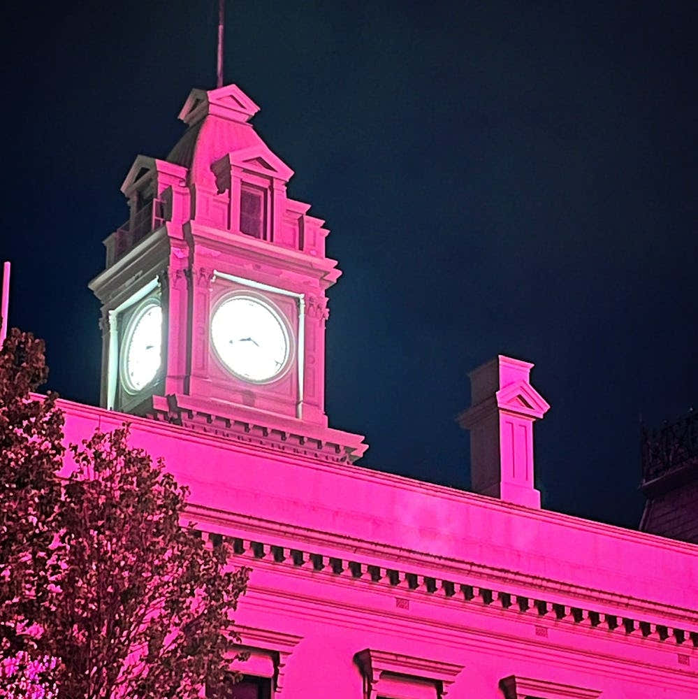 PAINTING in pink light no.2, 2024