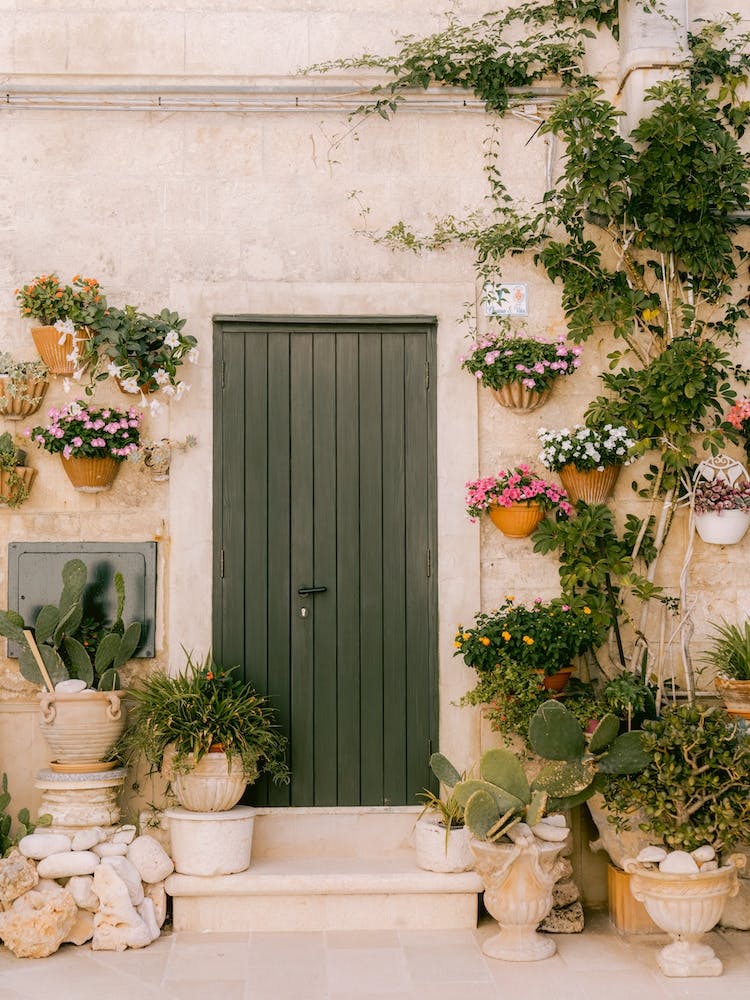Green door with plants | Botanical Art | Italy