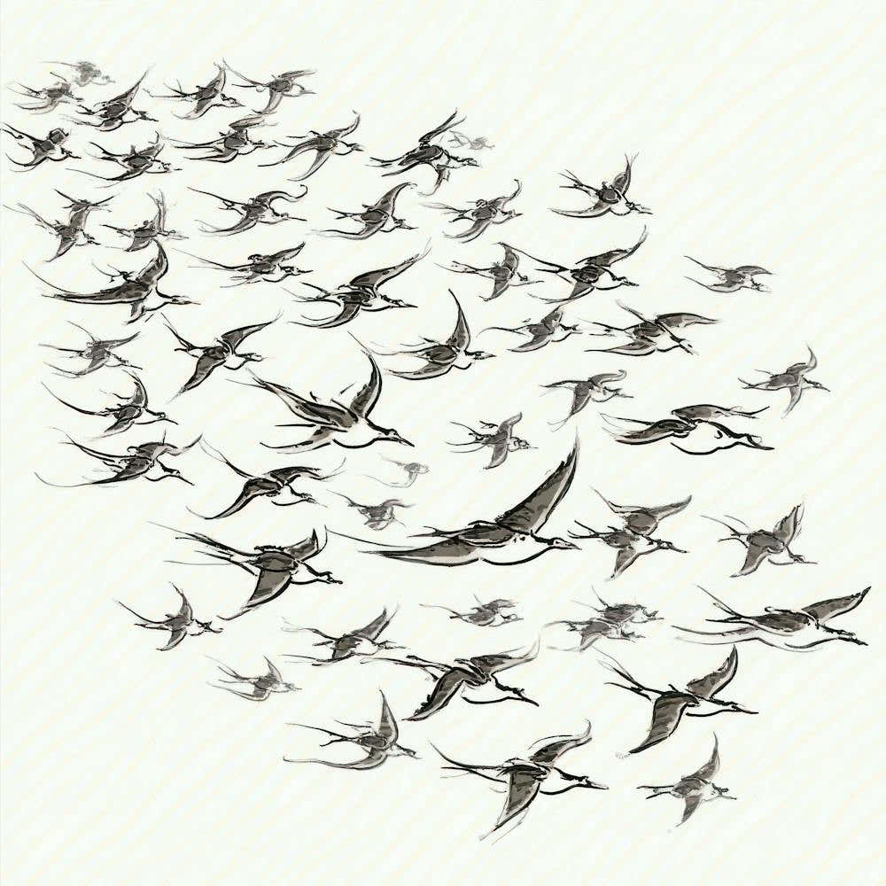 Flock Of Birds 1