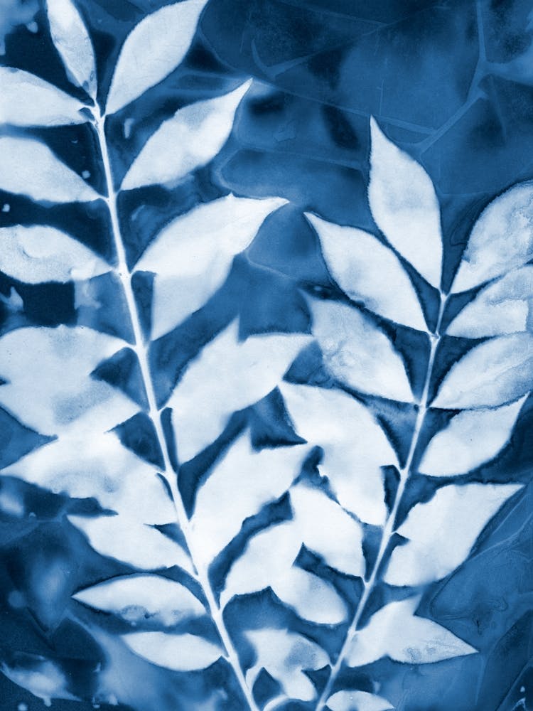 Leafy Branches Blue and White Botanical Cyanotype