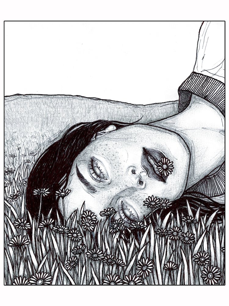 Daisy Field