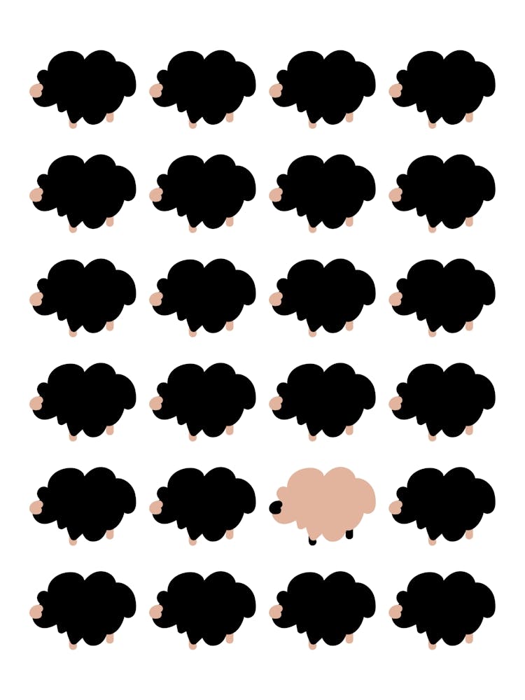 Pink Sheep
