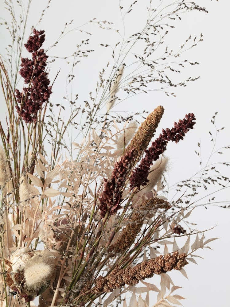 Dried Flower Arrangement_2191085