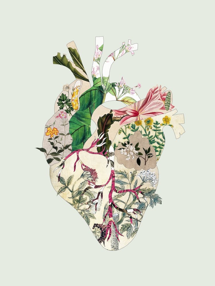 Vintage Botanical Heart