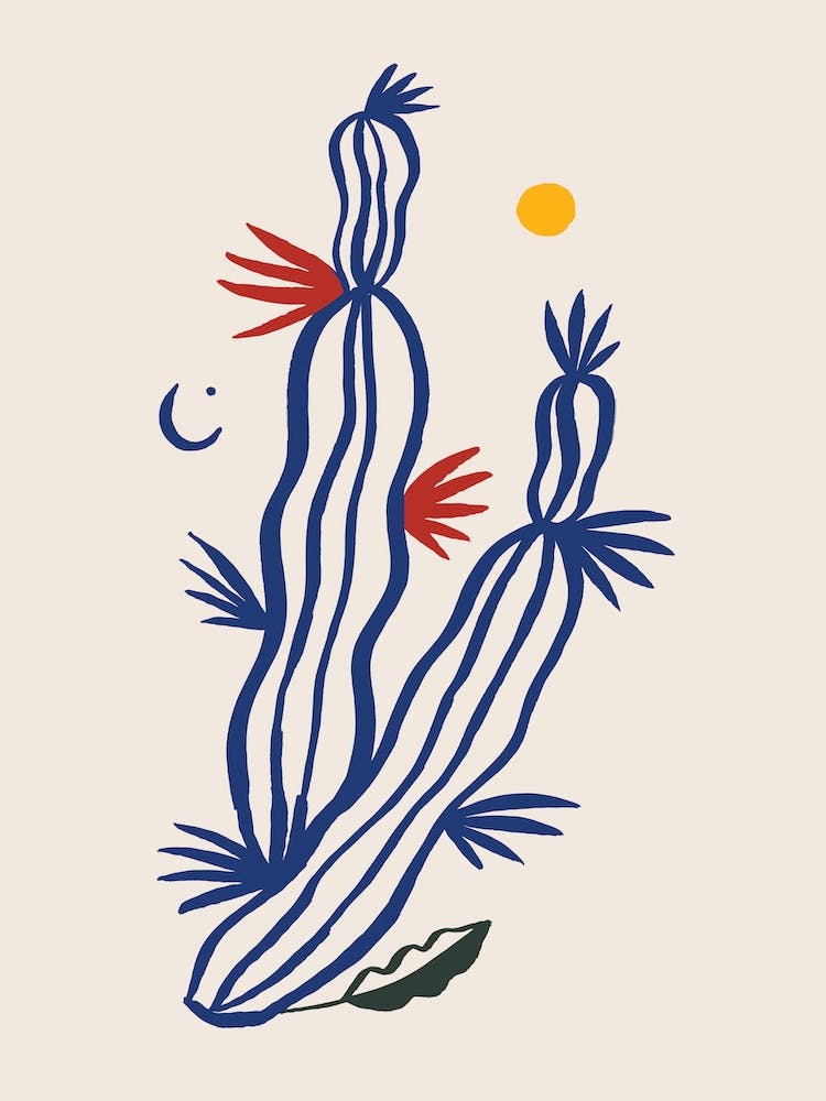 Cactus 1