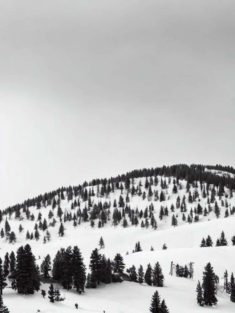 Bansko, Bulgaria Black And White Skiing Poster