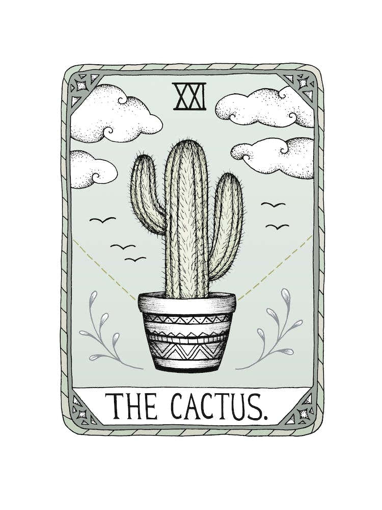 The Cactus