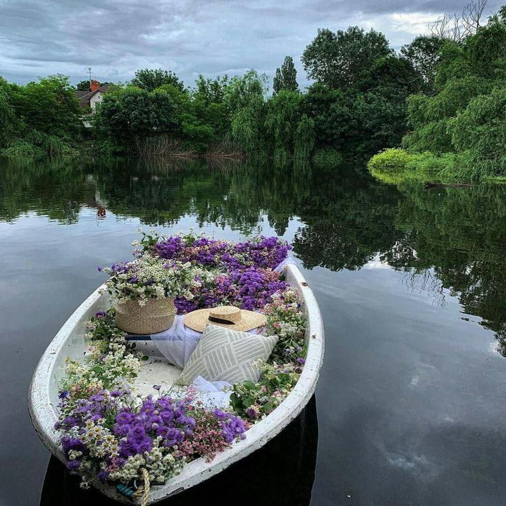 Flowers In A Boat