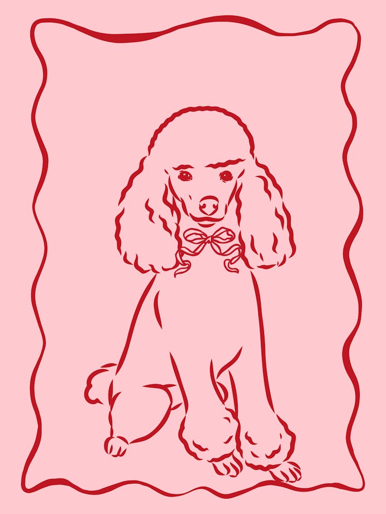 Poodle Dog