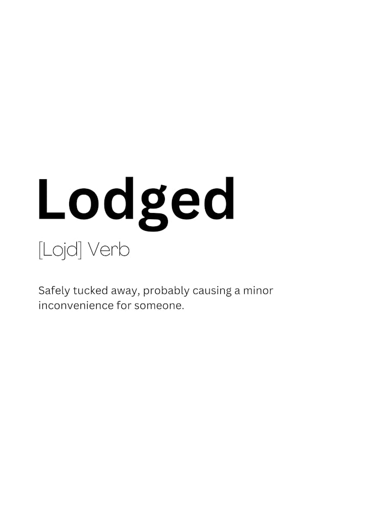 Lodged Definition Meaning
