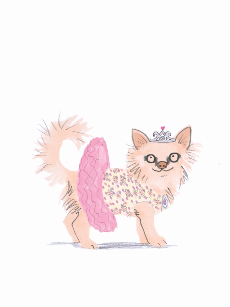 Princess Cat
