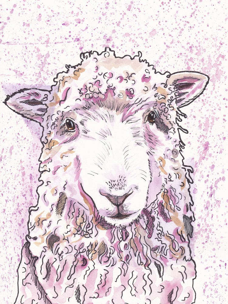 Sheep In Pink
