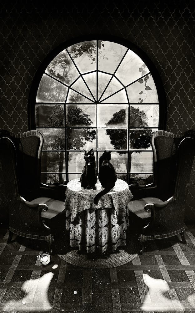 Room Skull