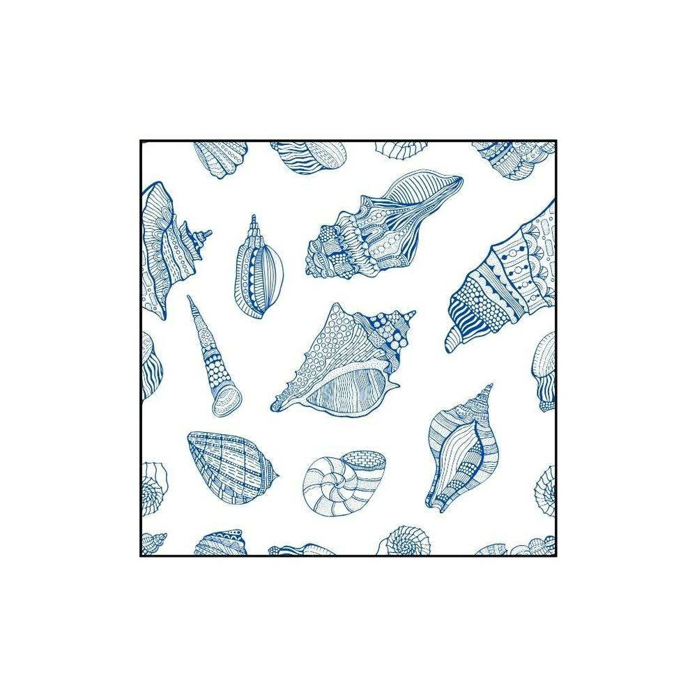 Sea Shells