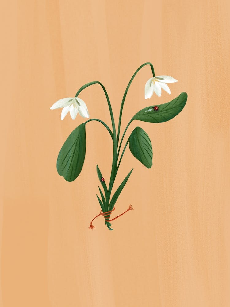 Ms Ladybug Is Thirsty